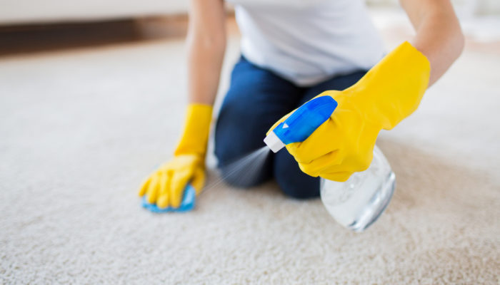 Caring for New Carpet: The Ultimate Guide