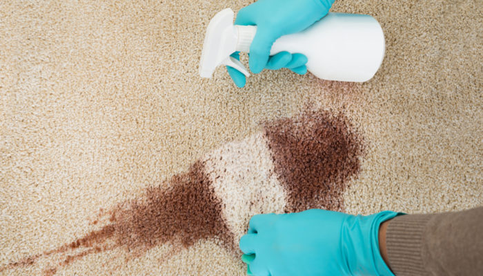 How to Clean Carpet Stains the Right Way